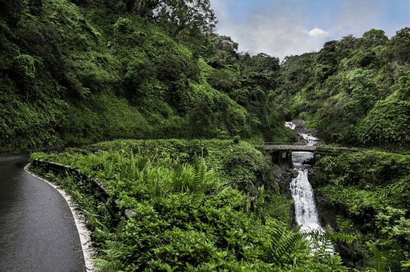 Maui scenery